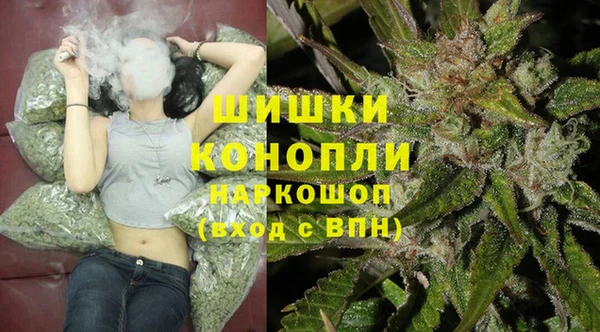 стафф Галич