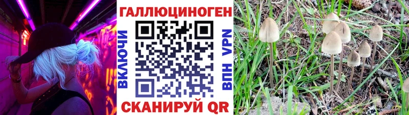 Галлюциногенные грибы Magic Shrooms  Гусиноозёрск 